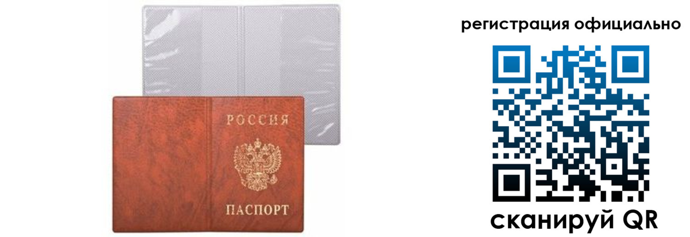 временная регистрация в Димитровграде